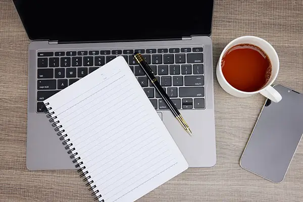 雨燕的含义是什么