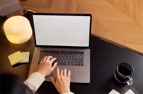 无花果的含义男生